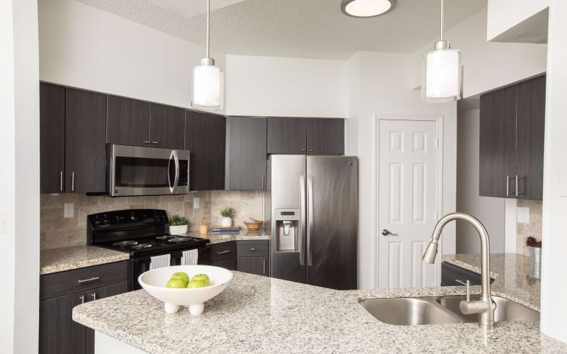 Modern Apartment Kitchen With Stainless Steel Appliances Near Texas Medical Center