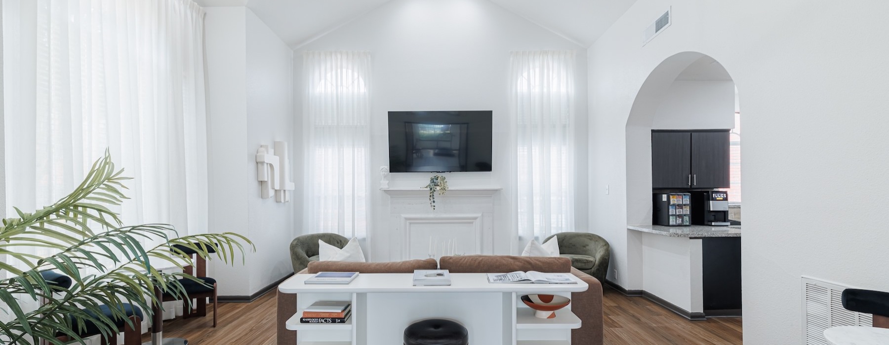 lounge with seating tv ceiling fan and plant